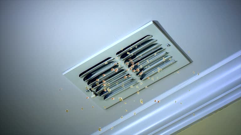 Best Duct Cleaning for Homes  in Bourbon, IN