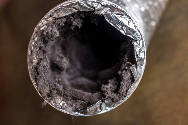 Best Air Duct Cleaning Cost  in Bourbon, IN